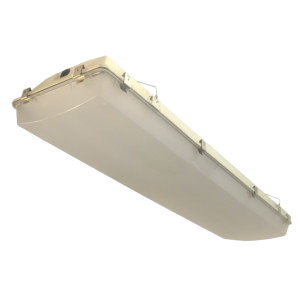 Producto relacionado